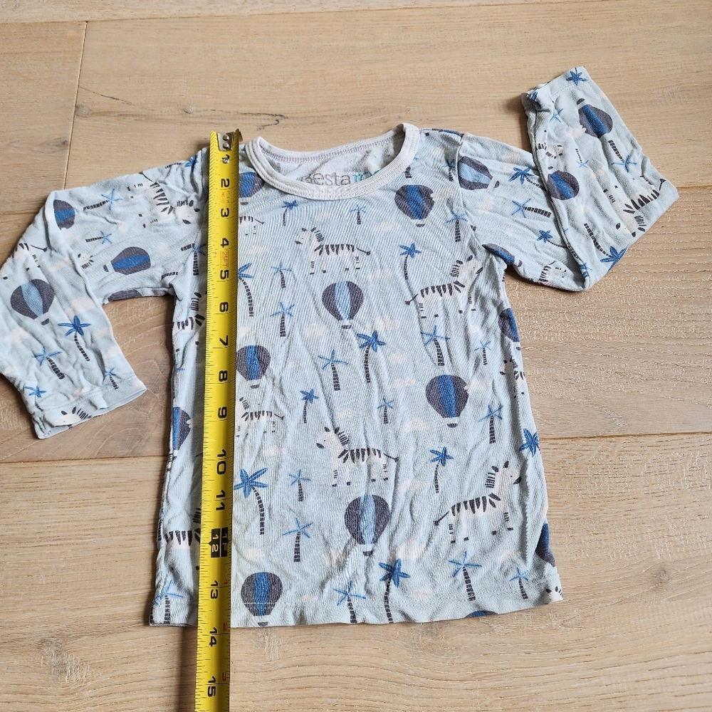 BESTAROO Zebra Pajamas Blue Long Sleeve 2/3T - Picture 7 of 7